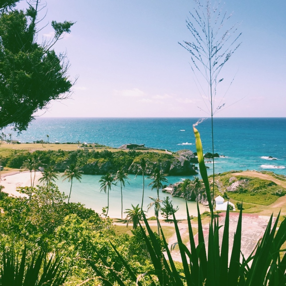 Meet your Posher, Ryan